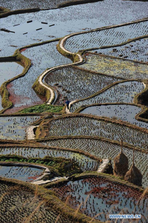 Beautiful scenery of terraced fields in China