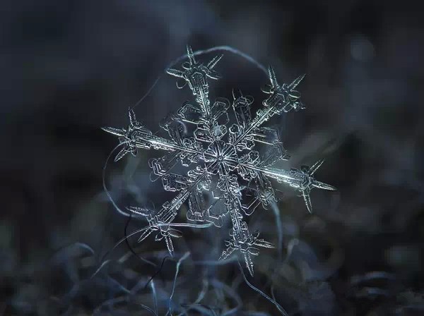 Snowflakes under the microscope