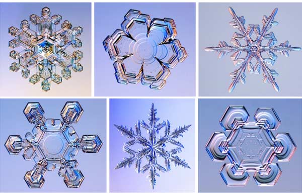 Snowflakes under the microscope