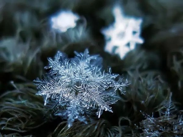 Snowflakes under the microscope 2
